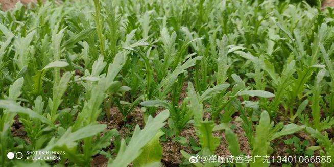 早安禅喻壹仟叁佰柒拾捌:佛教我们怎... 来自禅喻诗香李广克134010665