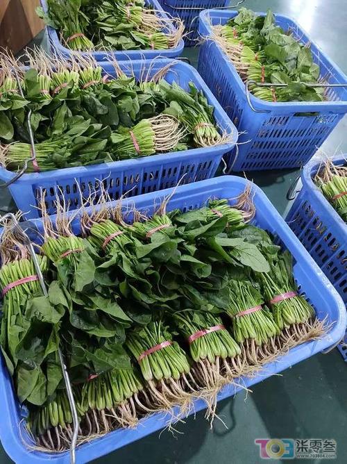 无接触配送安全放心社区团购受市民青睐